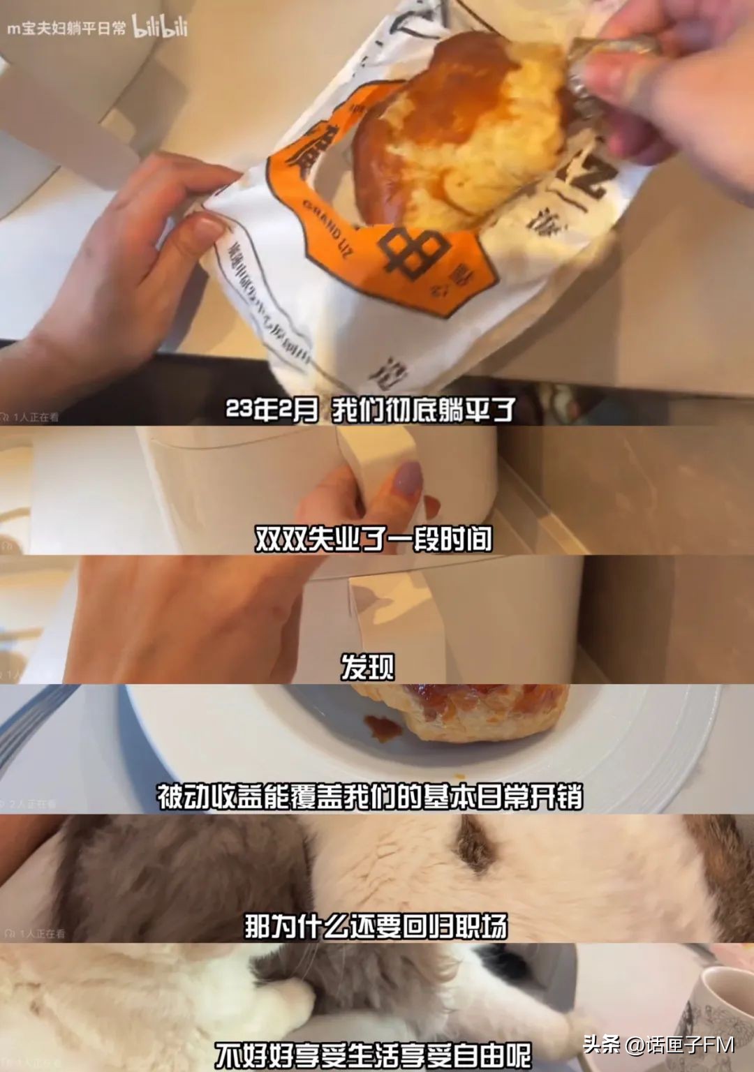 猫咪短视频记录生活_猫咪日常视频_两猫家庭的日常视频