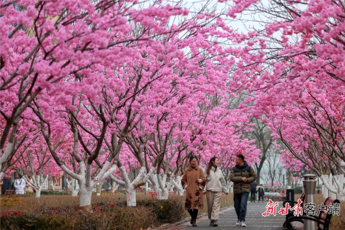 黑帽生活趣事_黑帽生活趣事_黑帽生活趣事