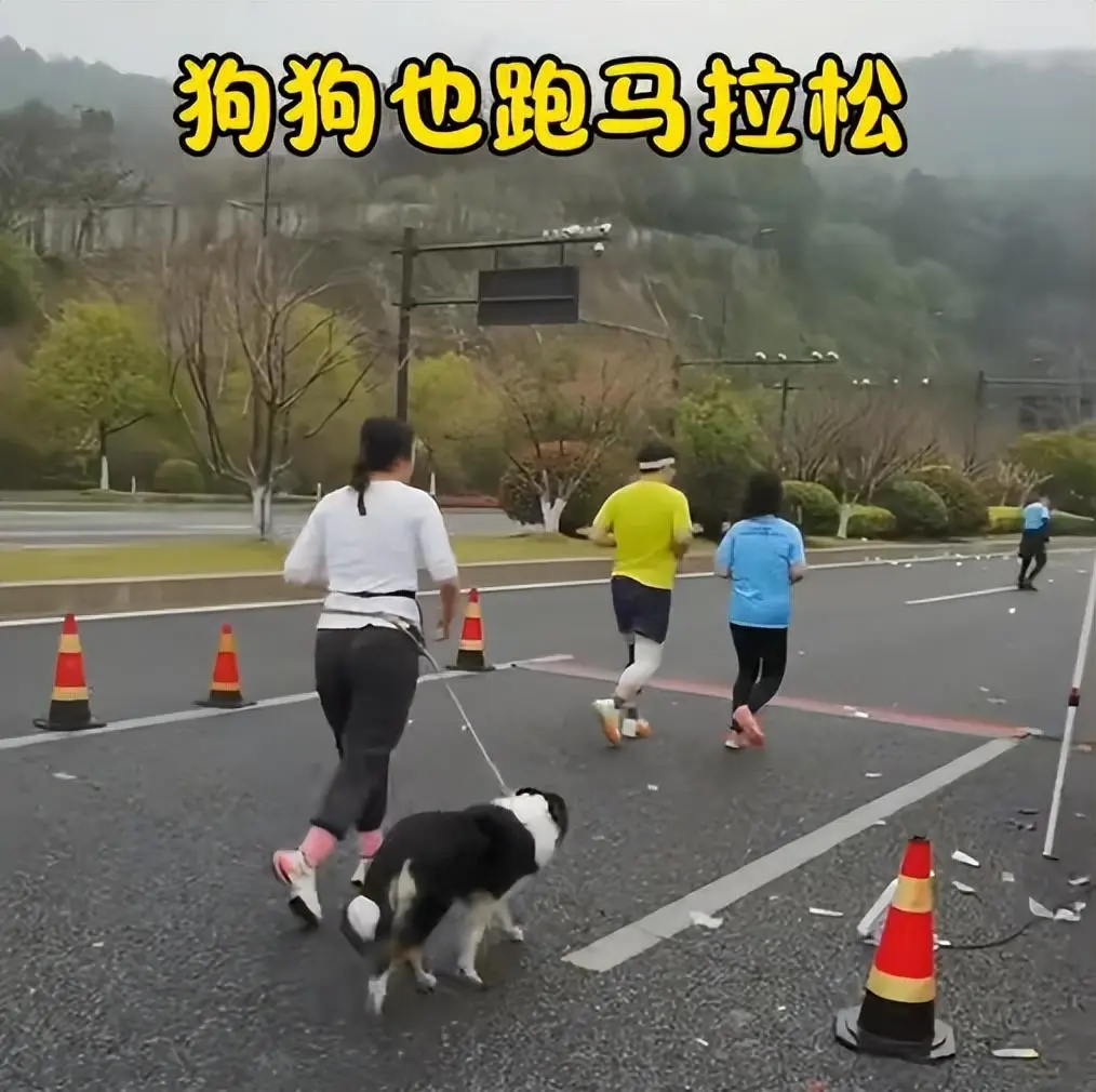 奖品马拉松北京哪里领_北京马拉松奖品_北京马拉松奖牌