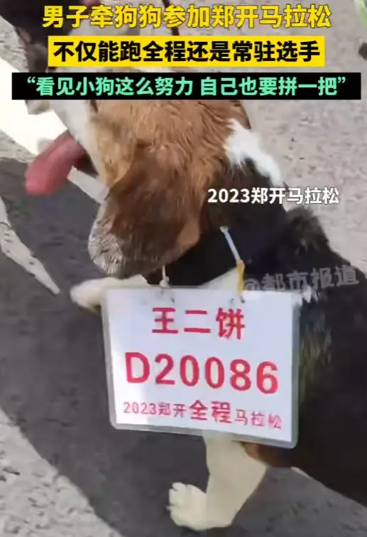 北京马拉松奖品_奖品马拉松北京哪里领_北京马拉松奖牌