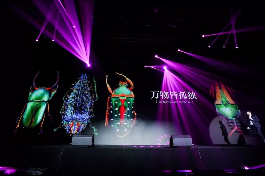 博洛尼+生活方式_博洛尼+生活方式_博洛尼+生活方式