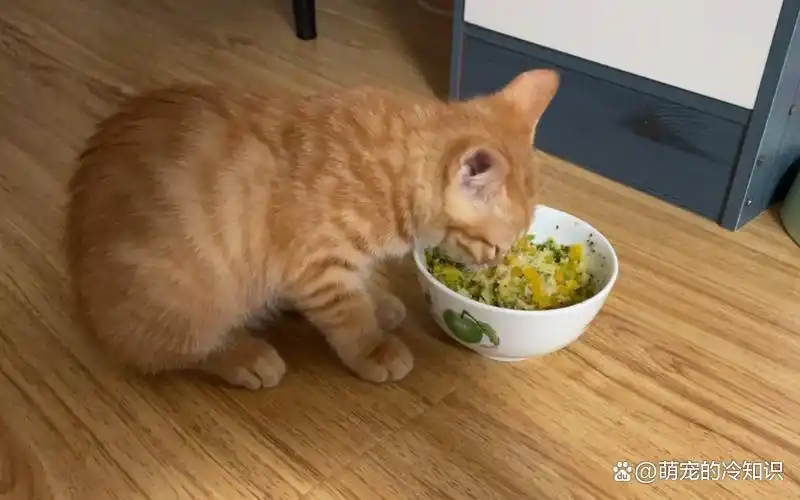 萝卜简单吃法_生活小窍门吃萝卜_萝卜吃法大全集