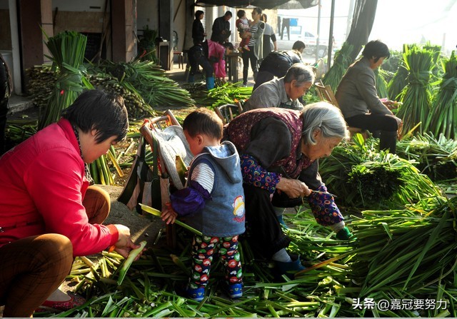自律的生活应该怎么安排_自律的生活方式_70后的自律生活方式