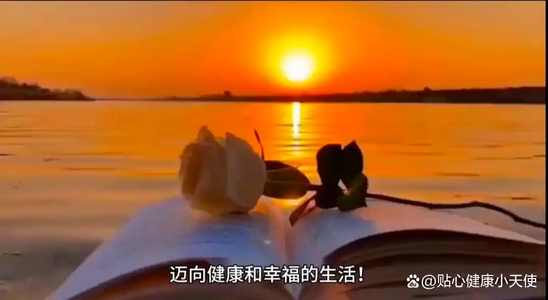 忙碌生活方式_忙碌方式生活的句子_忙碌的方式