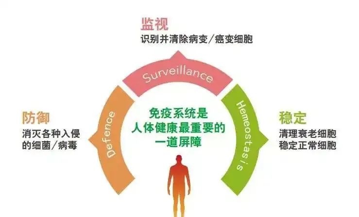 亚健康人群疲劳_亚健康疲劳度分级_疲劳亚健康怎么调理