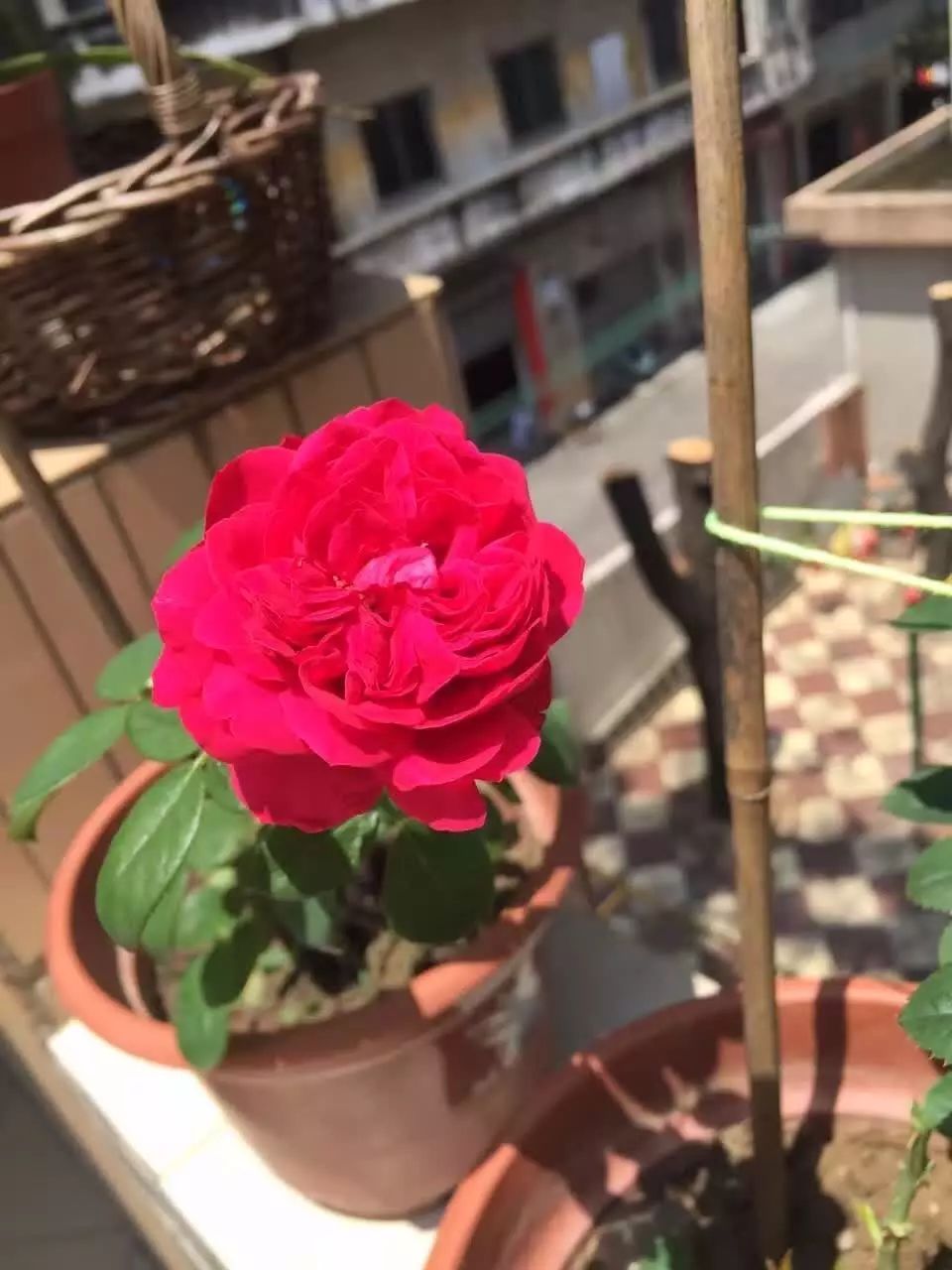裁判篮球规则及手势_篮球裁判规则理解与认识_裁判篮球规则认识理解怎么写